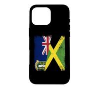 BVI Jamaica Flag British Islands Jamaica Case for iPhone 16 Pro Max