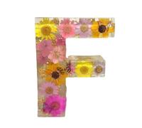 Bvizyelck LED Letter Lights, Floral Resin Night Light, Alphabet LED Letter Lights Warm White Night Light, Dried Flower Letters Night Light, Alphabet Light Up Letters Sign for Wedding