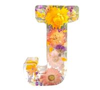 Bvizyelck LED Letter Lights, Floral Resin Night Light, Alphabet Warm White Light Up Sign With Dried Flowers for Wedding