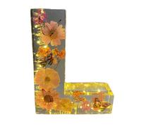 Bvizyelck LED Letter Lights, Floral Resin Night Light, Alphabet Warm White Light Up Sign With Dried Flowers for Wedding
