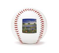 BVKWNTSA Durable Personalized Texas Bluebonnets Scenery Printed Baseball for Players & Gifts, Classic PU Baseball for Training And Collecting