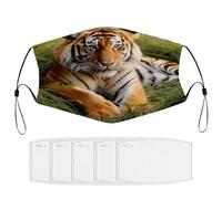 BVKWNTSA Reusable Respirator Face Mask with Filter - Tiger Laying on The Grass Printed Breathable Cotton Dust/Paint Safety Cover, Adjustable Ear Straps & Nose Wire