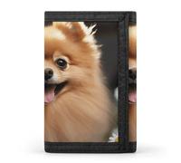 BVKWNTSA Stylish and Durable Pomeranian Dog Printed Tri-fold Wallet, Multi-Card Slots, Large Capacity and Portable