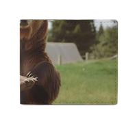 BVKWNTSA Stylish and Portable Small Hi Bear Sit on The Lawn Printed Coin Purse, Perfect for Backpacks, Shoulder Bags, Pockets, Etc.