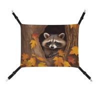 BVKWNTSA Suitable for All Seasons! Canvas Raccoon in The Fall Tree Hole Printed Pet Hammock, Hanging Cat And Dog Bed, Breathable And Comfortable Essential
