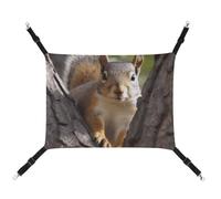 BVKWNTSA Suitable for All Seasons! Canvas Squirrel in The Tree Printed Pet Hammock, Hanging Cat And Dog Bed, Breathable And Comfortable Essential