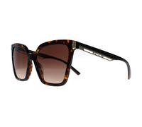 Bvlgari BV8253 Womens Havana Sunglasses