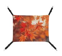 BVNMT Maple Leaves in The Sun Printed Canvas Pet Hammock - Breathable & Foldable for Cats, Dogs & Small Pets - Ideal for Home, Travel & Pet Hospital - 16.9 X 13 X 7.9in