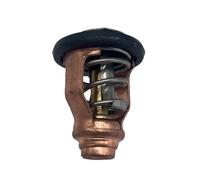 BVNZUFH 50°C / 122°F Thermostat 17670-90J20 Fit for Outboard Motor 100-300HP 150APL 175APX2 200APX