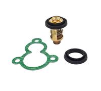 BVNZUFH For Thermostat w/Gasket 4-Str F4A F4B F5A F6C Outboard Motor 66M-12411-01