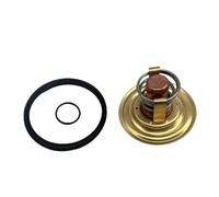 BVNZUFH Thermostat kit 60°C Fit For M2 MD6 MD7 Marine Diesel Engines RO: 875796 833366 18-3665