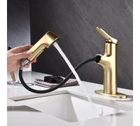 Bvoechor Brushed Gold Bathroom Sink Faucet with Pull Out Sprayer, Single Hole Single Handle Modern Lavatory Vessel Sink Faucet, Bar Sink Faucet