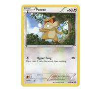 BW Emerging Powers 78/98 Patrat