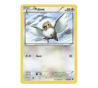 BW Emerging Powers 80/98 Pidove