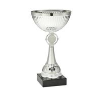 BW Trophies Silver Metal Trophy Cup with Black Marble Base, 10, Custom Engraving Included, Premium Presentation Award for Sports Tournaments, School Competitions & Corporate Events (200mm)