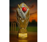 BW Trophies The perfect award for All cricket events, Cricket Trophy with Engraving - Diamond Disc Design Award - Gold & Silver Resin Finish with Red Ball & Bat Detail (240mm)