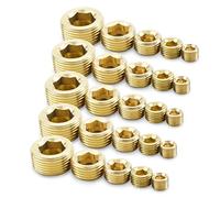 Bwintech 25pcs 1/8" 1/4" 3/8" 1/2" 3/4" BSP Thread Brass Internal Hex Thread Socket Pipe Plug [5pcs of Each Size]