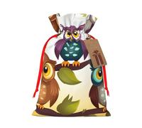 BWLHJKE Owls Birds Christmas Gift Bag Burlap Xmas Drawstring Gift Sack with Tag & Tie, Small Christmas Bags for Gifts, Reusable Gift Wrapping Bag for Holiday Party Favors