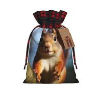BWLHJKE Squirrel Funny Animal Christmas Gift Bag Burlap Xmas Drawstring Gift Sack with Tag & Tie, Buffalo Plaid Christmas Bags for Gifts, Reusable Gift Wrapping Bag Holiday Party Favors
