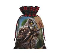 BWLHJKE Wild Owl Birds Christmas Gift Bag Burlap Xmas Drawstring Gift Sack with Tag & Tie, Buffalo Plaid Christmas Bags for Gifts, Reusable Gift Wrapping Bag Holiday Party Favors