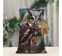 BWLHJKE Wild Owl Birds Christmas Gift Bag Burlap Xmas Drawstring Gift Sack with Tag & Tie, Small Christmas Bags for Gifts, Reusable Gift Wrapping Bag for Holiday Party Favors