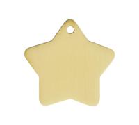 BWM Solid Brass Pet ID Tag - Personalized & Laser Engraved Dog Tag for Pets - Durable Cat & Dog Name Tag with Strong Split Ring - Star,Large
