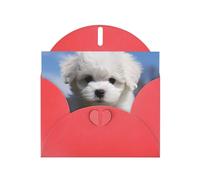 BWQTRYD Bichon Frise Dog Greeting Cards Blank Note Cards with Envelopes Happy Birthday Card Thank You Card Wedding Party Invitation Cards for All Occasions 4x6 Inch