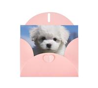 BWQTRYD Bichon Frise Dog Greeting Cards Blank Note Cards with Envelopes Happy Birthday Card Thank You Card Wedding Party Invitation Cards for All Occasions 4x6 Inch