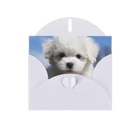 BWQTRYD Bichon Frise Dog Greeting Cards Blank Note Cards with Envelopes Happy Birthday Card Thank You Card Wedding Party Invitation Cards for All Occasions 4x6 Inch
