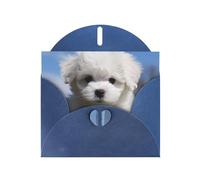 BWQTRYD Bichon Frise Dog Greeting Cards Blank Note Cards with Envelopes Happy Birthday Card Thank You Card Wedding Party Invitation Cards for All Occasions 4x6 Inch
