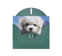 BWQTRYD Bichon Frise Dog Greeting Cards Blank Note Cards with Envelopes Happy Birthday Card Thank You Card Wedding Party Invitation Cards for All Occasions 4x6 Inch