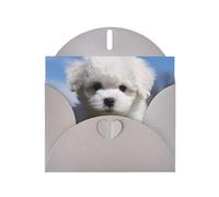 BWQTRYD Bichon Frise Dog Greeting Cards Blank Note Cards with Envelopes Happy Birthday Card Thank You Card Wedding Party Invitation Cards for All Occasions 4x6 Inch