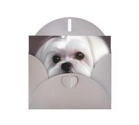 BWQTRYD Lovely Maltese Dog Greeting Cards Blank Note Cards with Envelopes Happy Birthday Card Thank You Card Wedding Party Invitation Cards for All Occasions 4x6 Inch