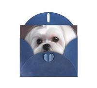 BWQTRYD Lovely Maltese Dog Greeting Cards Blank Note Cards with Envelopes Happy Birthday Card Thank You Card Wedding Party Invitation Cards for All Occasions 4x6 Inch
