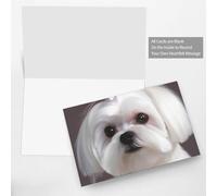 BWQTRYD Lovely Maltese Dog Greeting Cards Blank Note Cards with Envelopes Happy Birthday Card Thank You Card Wedding Party Invitation Cards for All Occasions 4x6 Inch