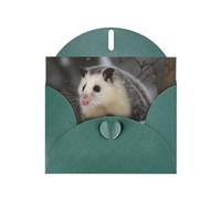 BWQTRYD Opossum In Snow Greeting Cards Blank Note Cards with Envelopes Happy Birthday Card Thank You Card Wedding Party Invitation Cards for All Occasions 4x6 Inch