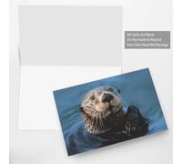 BWQTRYD Sea Otter Greeting Cards Blank Note Cards with Envelopes Happy Birthday Card Thank You Card Wedding Party Invitation Cards for All Occasions 4x6 Inch