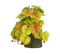 Bwuikim Habitat Corner Green FishTank Landscaped Decoration for Bearded-Dragon Lizards Artificial Indoor