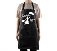 BWWKTOP Mary Movie Kitchen Apron Mary Fans Gift Practically Perfect In Every Way Adjustable Apron With Pockets For Cooking, Practically Perfect, Big