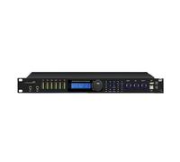 BX6 Wireless Professinal Front Digital Effect Processor 6 Channel Digital Audio Effect Processor Stage Performance Effect