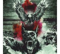By a Storm – Beware of the Underdogs – Vinyl – Broken Silence