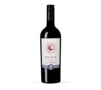by Amazon Our Selection Mendoza Argentinian Malbec, Red Wine, 75cl