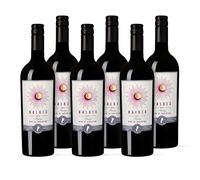 by Amazon Our Selection Mendoza Argentinian Malbec, Red Wine, 75cl, Case of 6