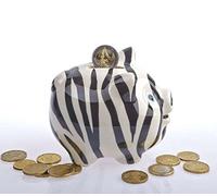 by-Bers Wannabe Piggy Bank Handmade Ceramic Strawberry, Zebra, Tiger, Watermelon, Ladybird, Corn Cob, Leopard, Carrot