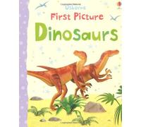 By Felicity Brooks - First Picture Dinosaurs (First Picture Books)