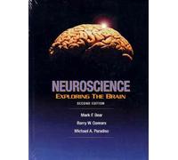 By Mark F. Bear Neuroscience: Exploring the Brain (2nd Revised edition) [Hardcover]