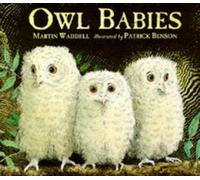 By Martin Waddell Owl Babies Board BOOK