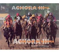 By Robert E. Svoboda Aghora Volume III: The Law of Karma: 3 [Paperback]