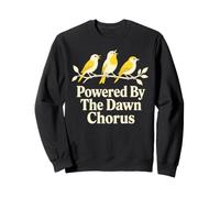 By The Dawn Chorus Birds Sweatshirt