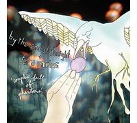 By The End Of Tonight Tera Mel - Complex Full Of Phantoms